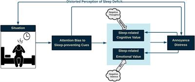 Conceptual Framework for Insomnia: A Cognitive Model in Practice